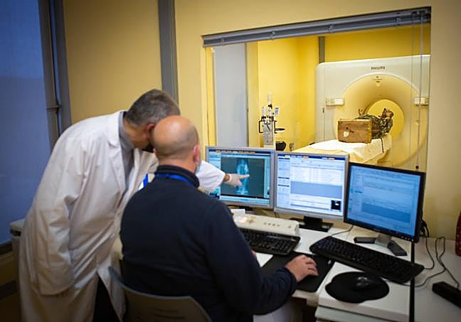 Analizando las primeras imágenes.