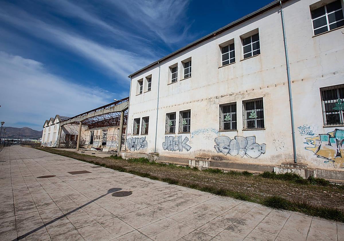 Dentro de Cetarsa, el edificio dormido de Granada