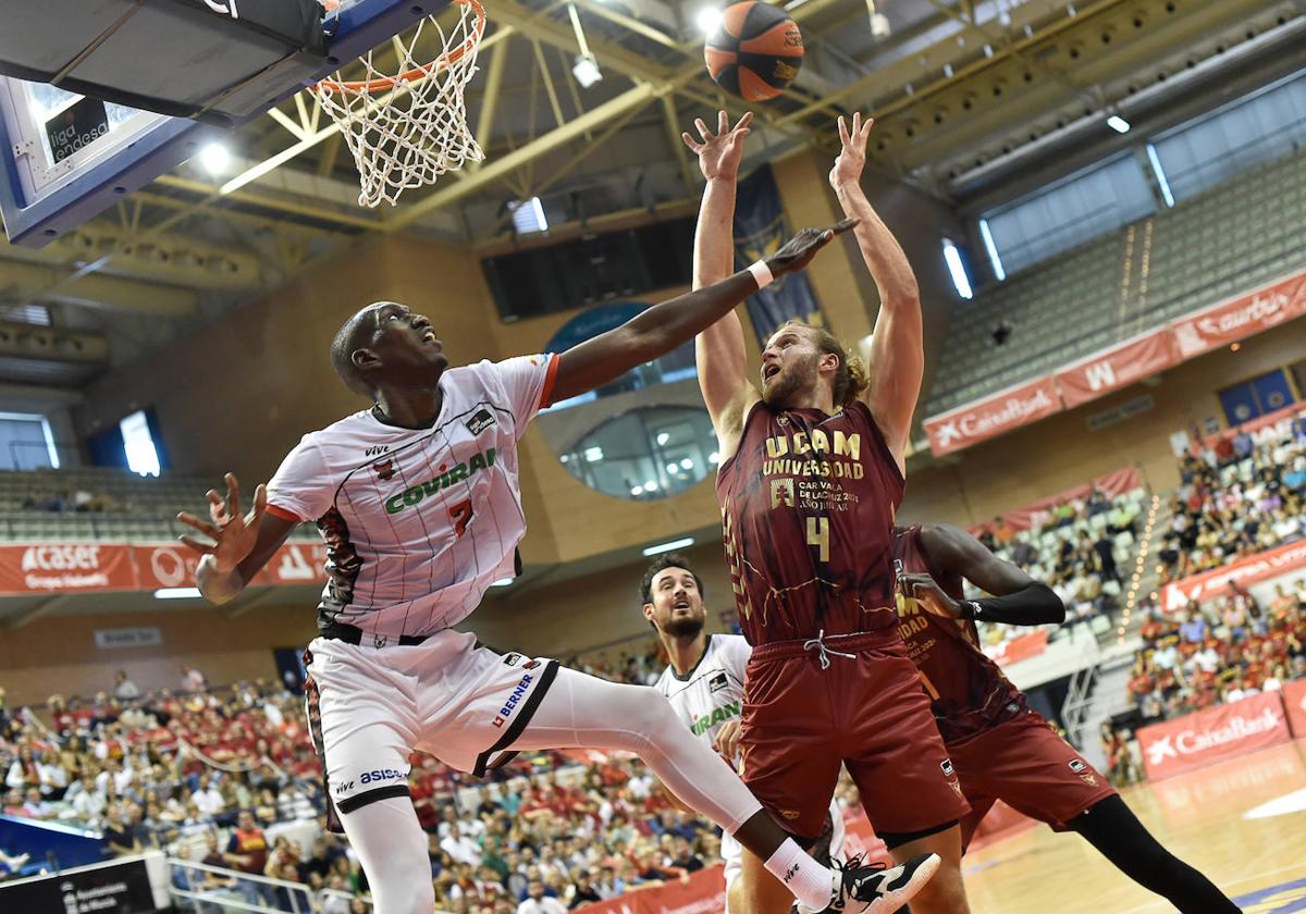 Una penitencia cuaresmal ante los gallos de la acb | ideal