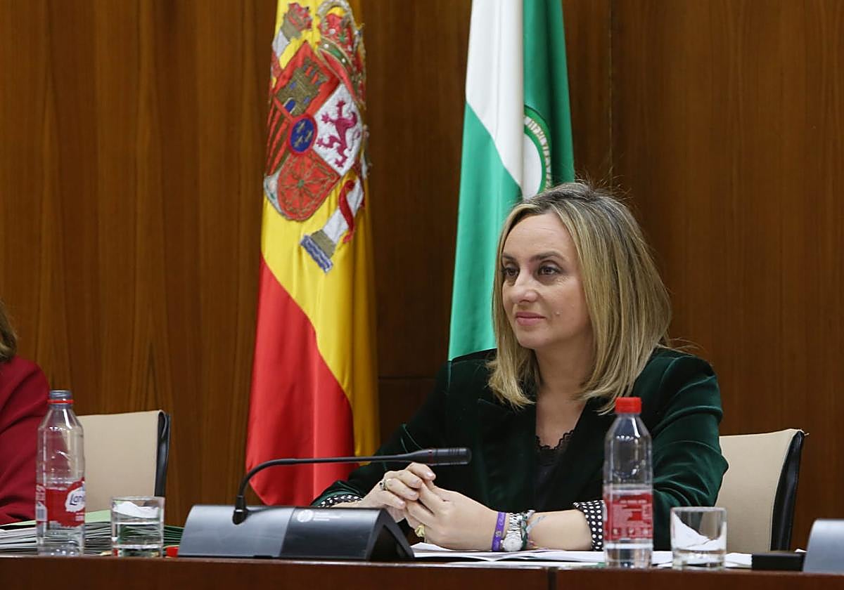 Marifrán Carazo, consejera de Fomento, durante la comisión de la consejería