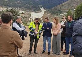 Visita a la carretera A-319 para conocer la adecuación del firme.