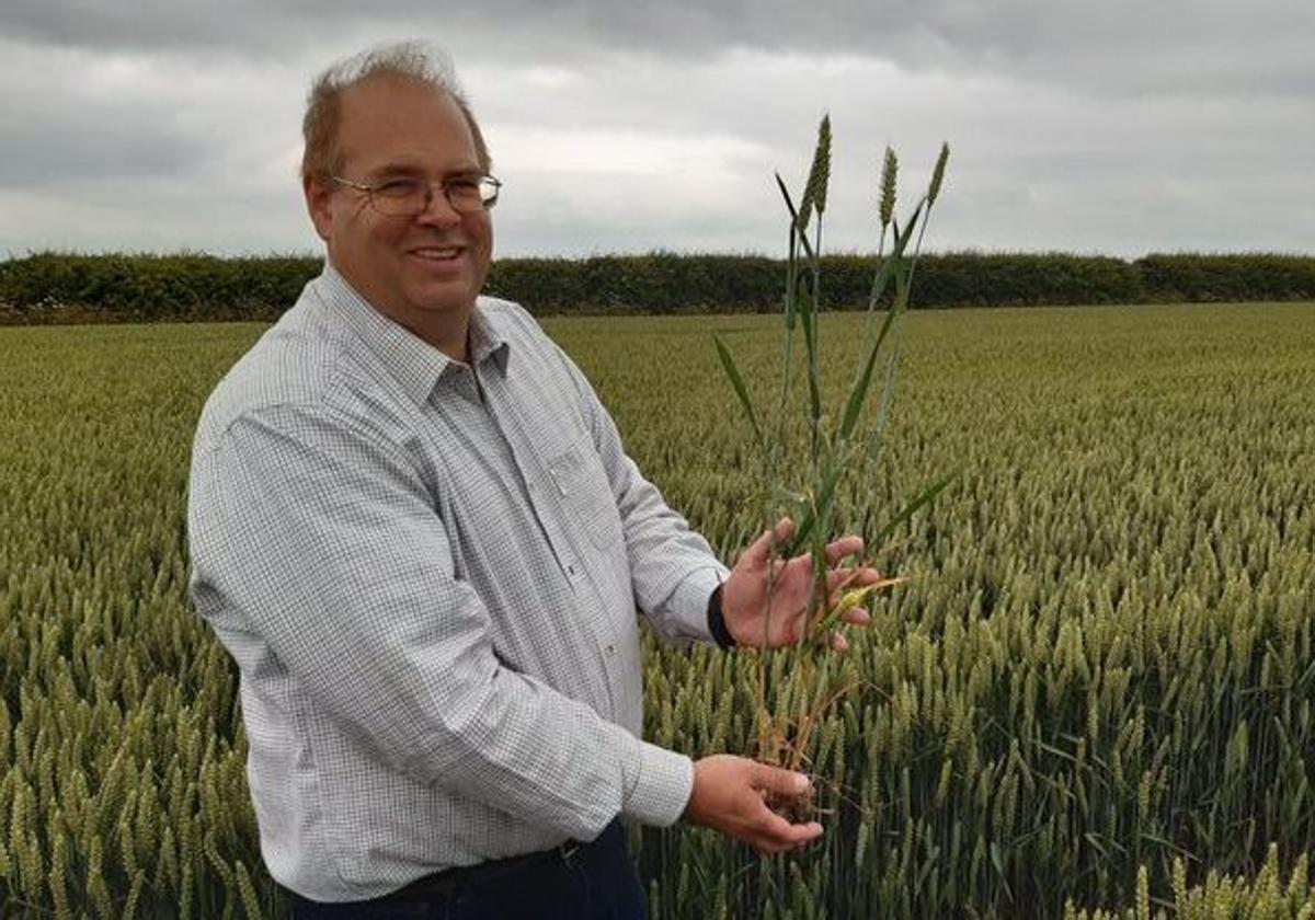 Un campesino logra dos récords guinness gracias a la tecnología almeriense de ecoculture | ideal