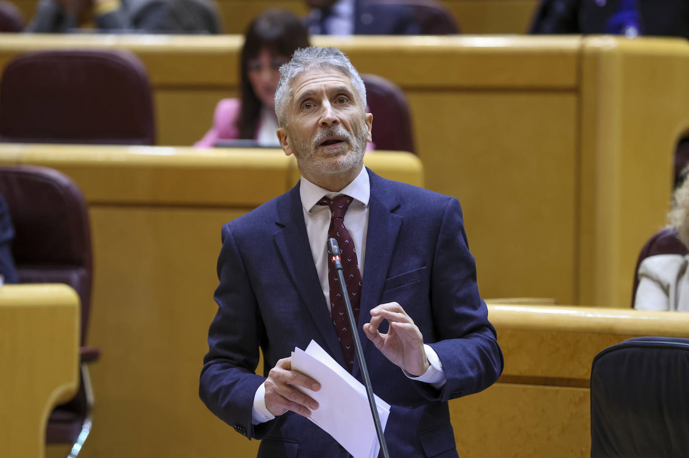 Marlaska mantiene la «intención» de construir la comisaría del distrito sur de granada | ideal