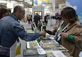 Degustación de los aceites de Jaén Selección.