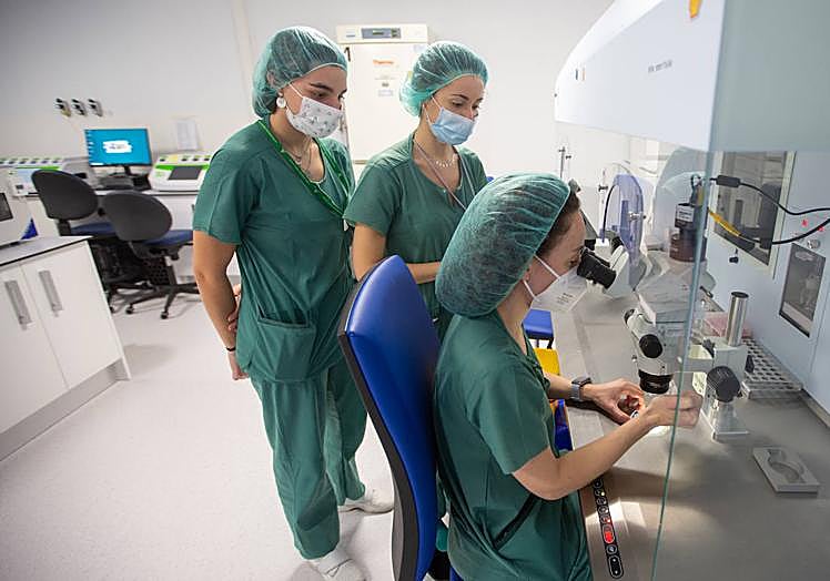 La Unidad de Reproducción Humana del Hospital Universitario Virgen de las Nieves de Granada está formada en su inmensa mayoría por mujeres.