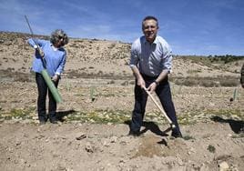 El presidente de Cajamar, Eduardo Baamonde, esta mañana, plantando árboles en la gran finca del paraje La Dehesa del Parque Natural Sierra María-Los Vélez.