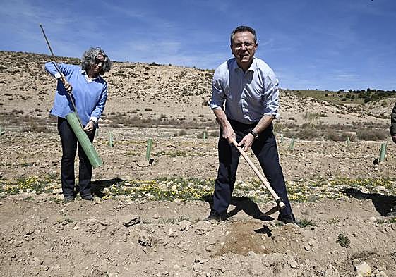 El presidente de Cajamar, Eduardo Baamonde, esta mañana, plantando árboles en la gran finca del paraje La Dehesa del Parque Natural Sierra María-Los Vélez.