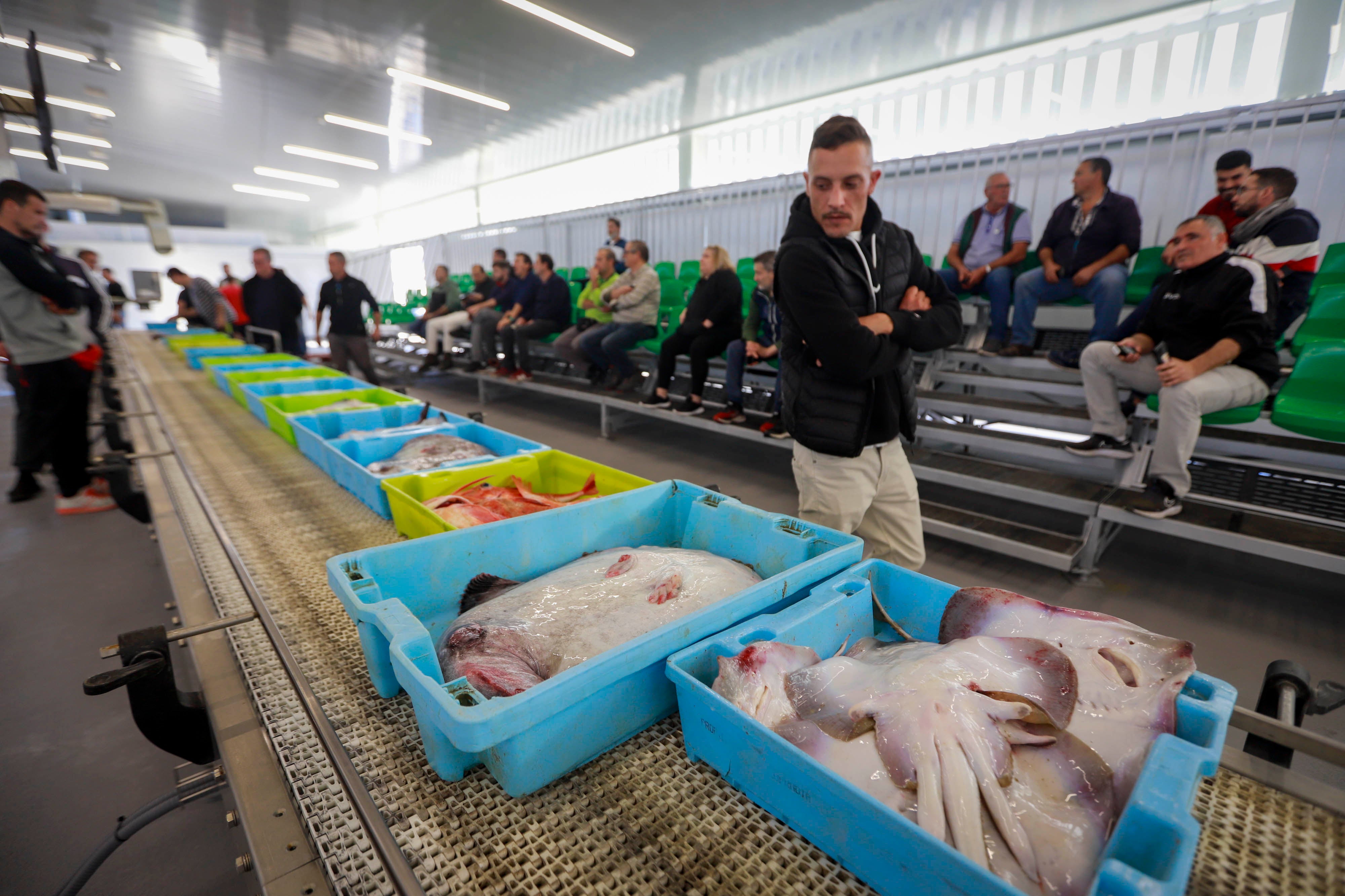 La nueva lonja de Motril desde dentro