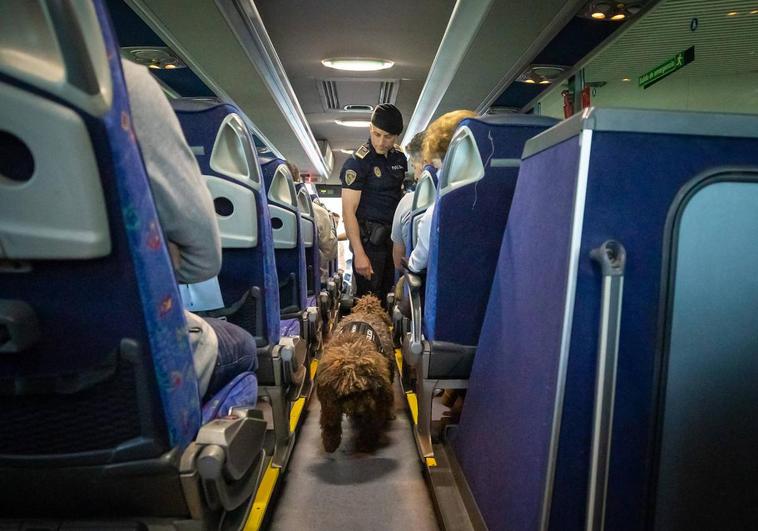 Un perro de la Policía Local de Granada junto con su guía vigilan un bus de línea.