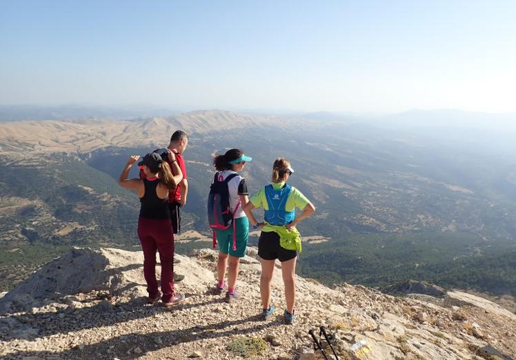 Imagen principal - Arriba, senderistas admirando las vistas; debajo, ascenso hacia la cumbre entre pinos salgareños y paraje de Las Santas, a los pies de La Sagra.