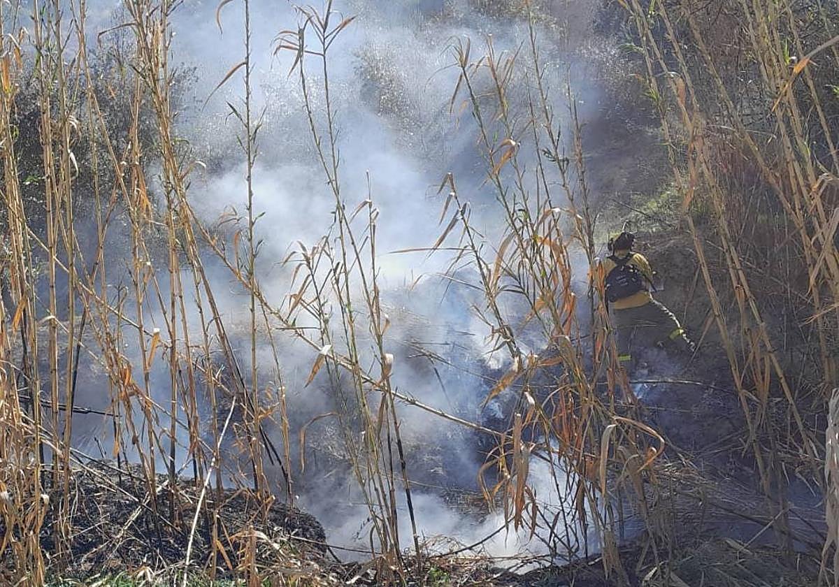 Incendio de vegetacion de ribera en el Paraje Rambla Matanza de Huesa esta pasada semana.