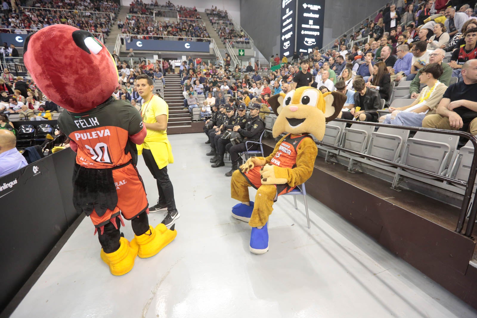 Encuéntrate en el Palacio durante el Covirán-Murcia