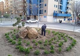 Operarios trabajando en el embellecimiento del barrio.