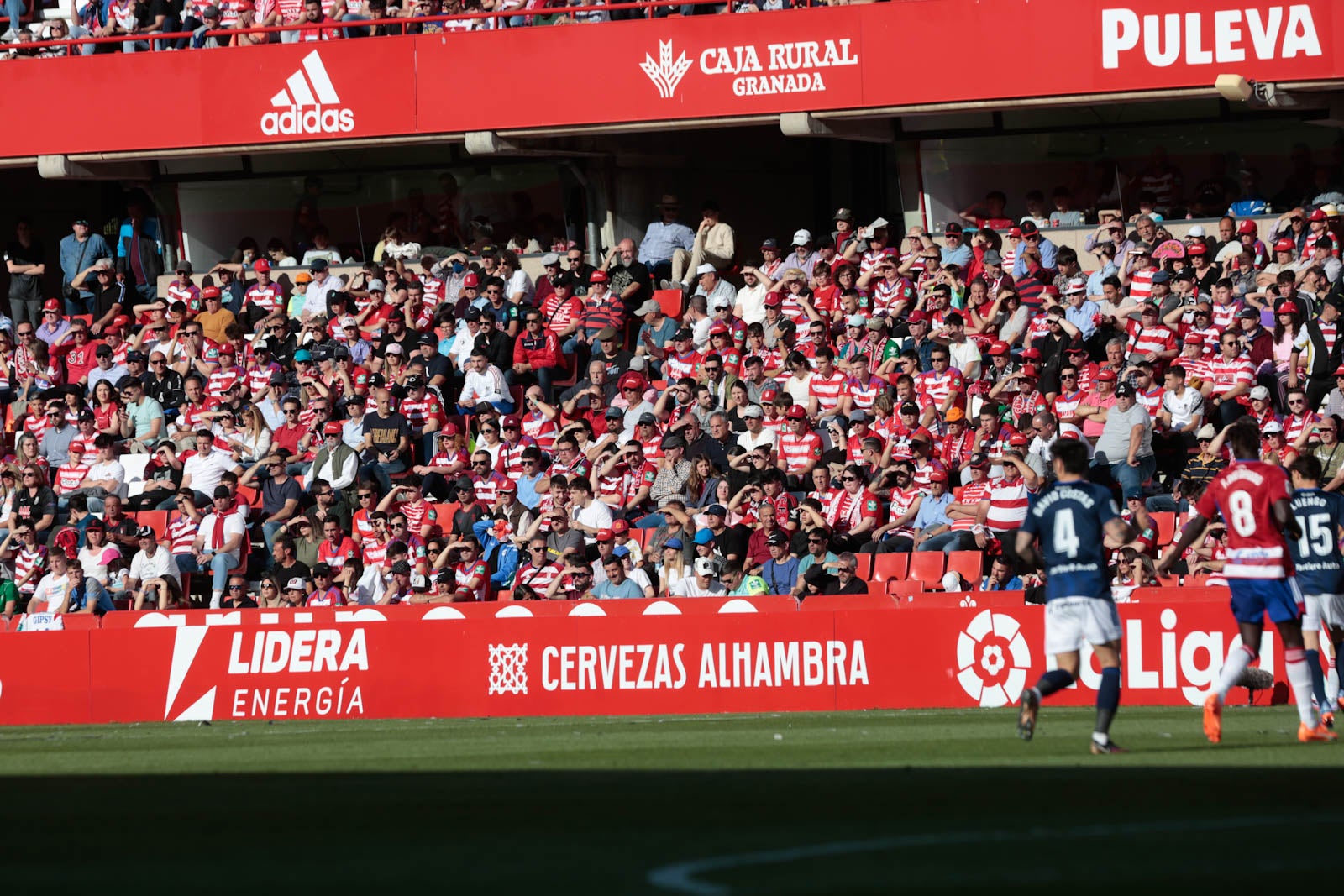 Encuéntrate en Los Cármenes en el Granada-Oviedo