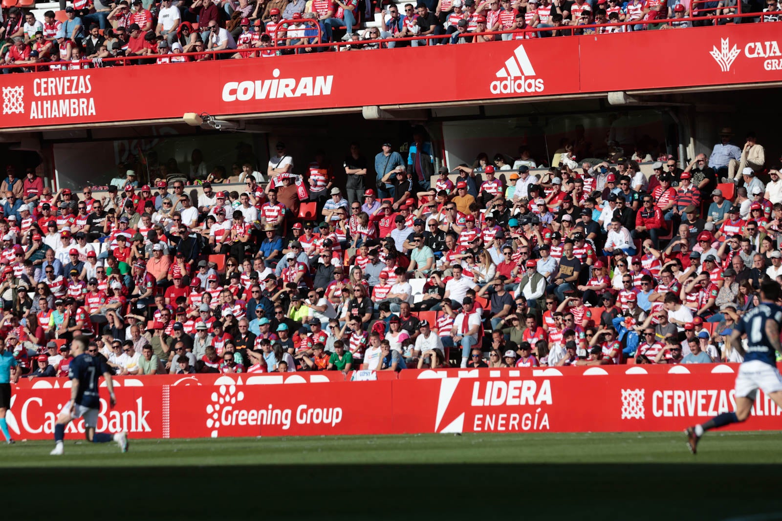 Encuéntrate en Los Cármenes en el Granada-Oviedo