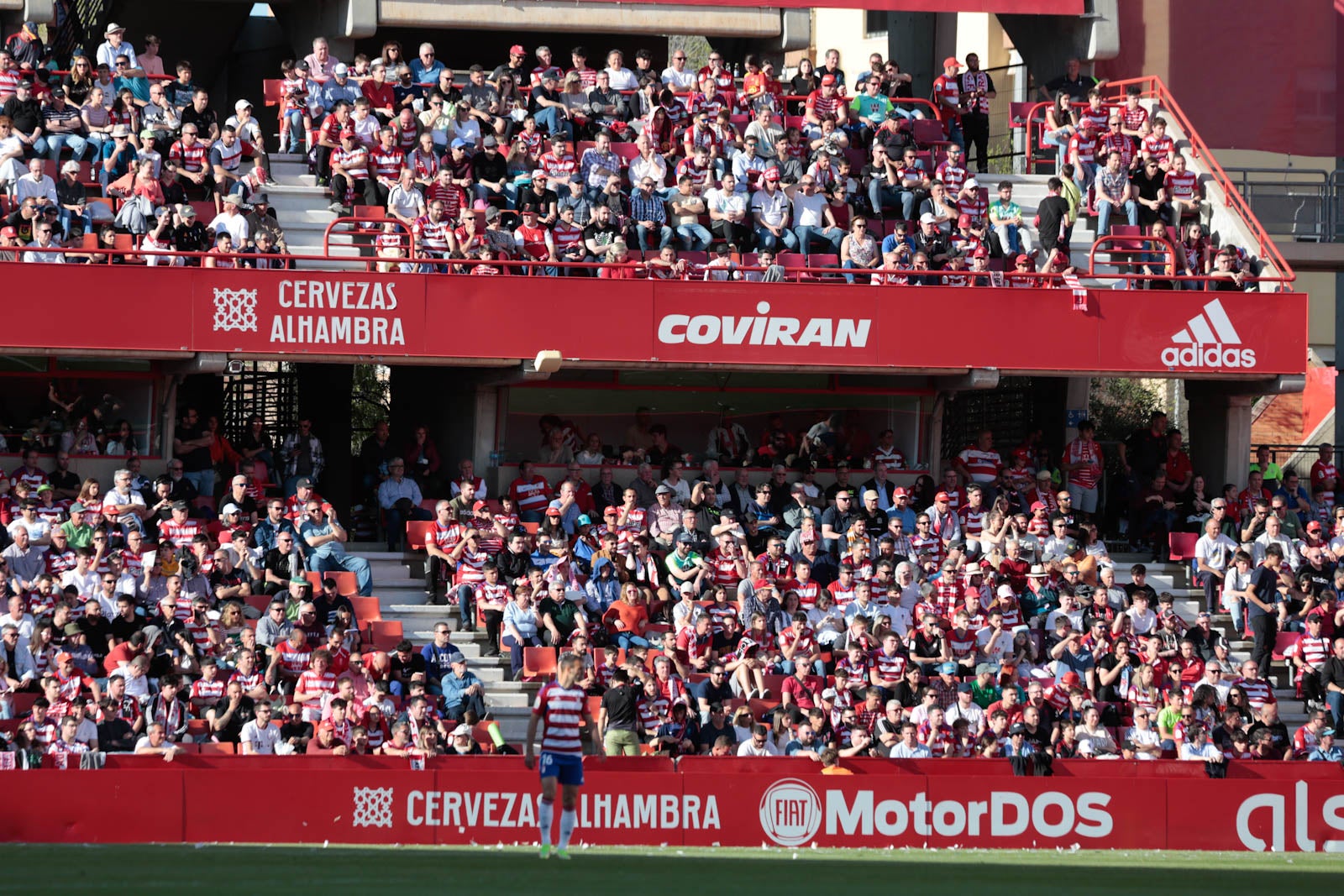 Encuéntrate en Los Cármenes en el Granada-Oviedo