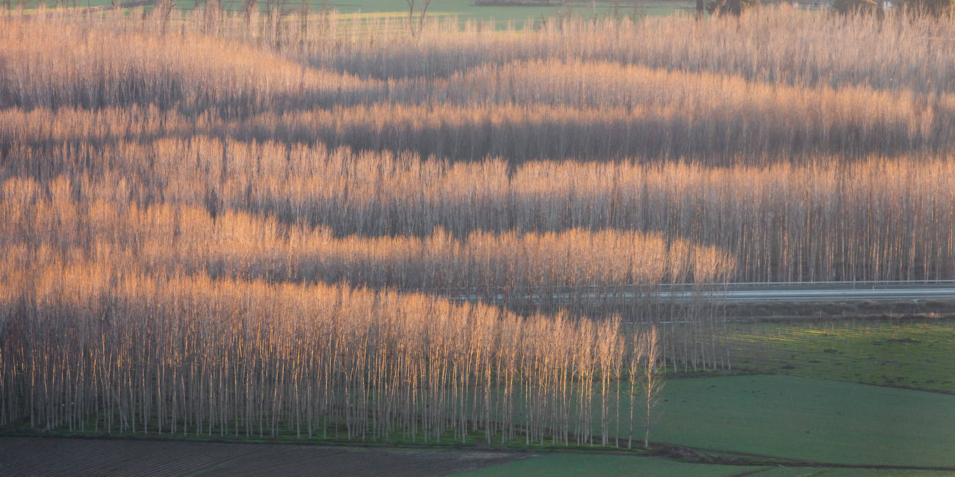 Fotografía 'Mar jaleante'.