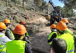 Trabajos en la sierra de María-Los Vélez.