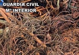 Material recuperado por los agentes.