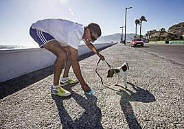 Los perros de Almería ya tienen una app de cuidados.