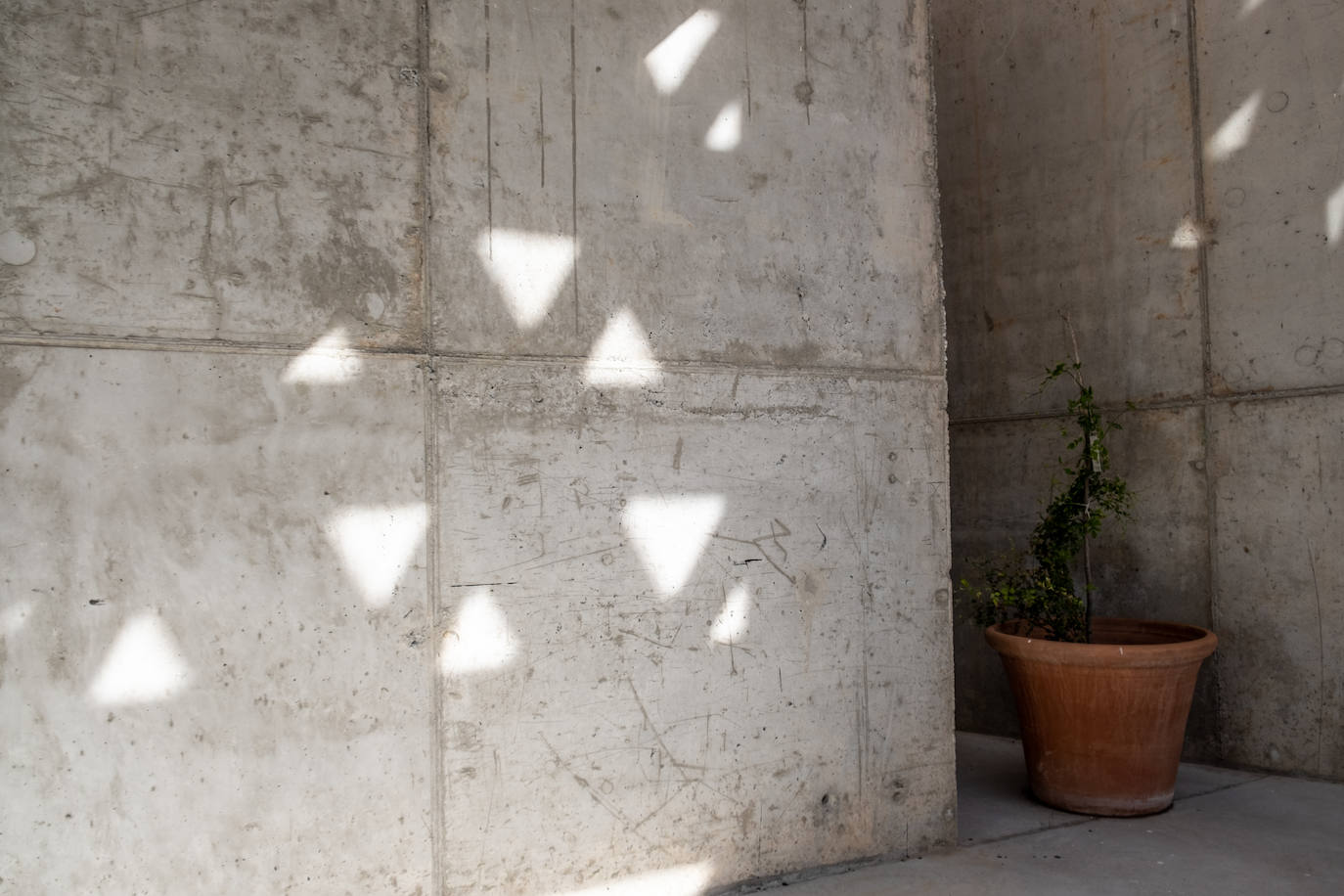 Imagen secundaria 1 - Sombras. 