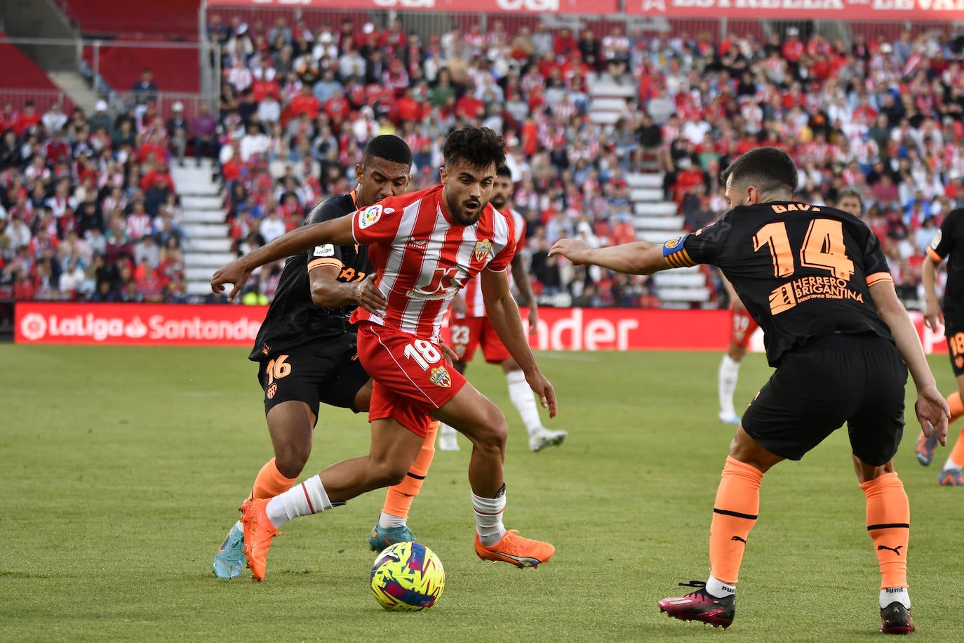 El Almería-Valencia, a pie de campo