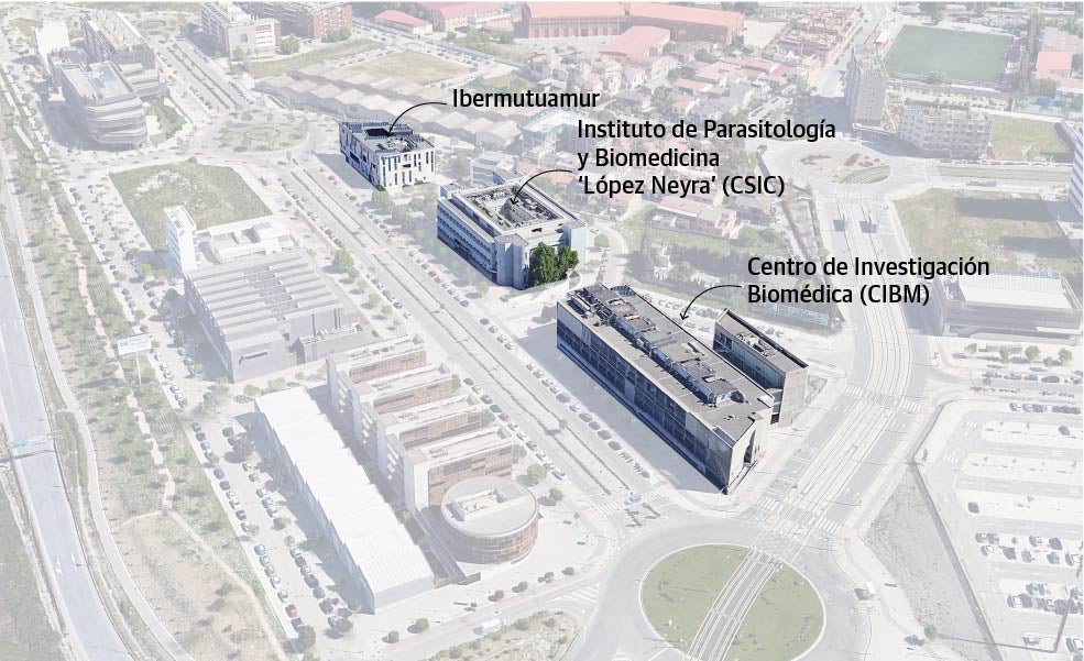 Scroll Story imagen 2