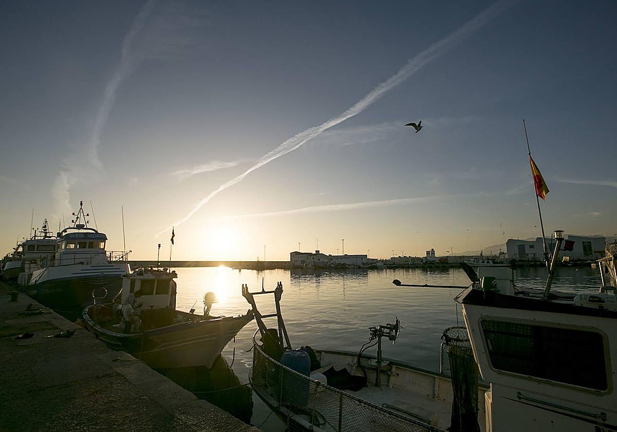 Vista general del puerto pesquero.