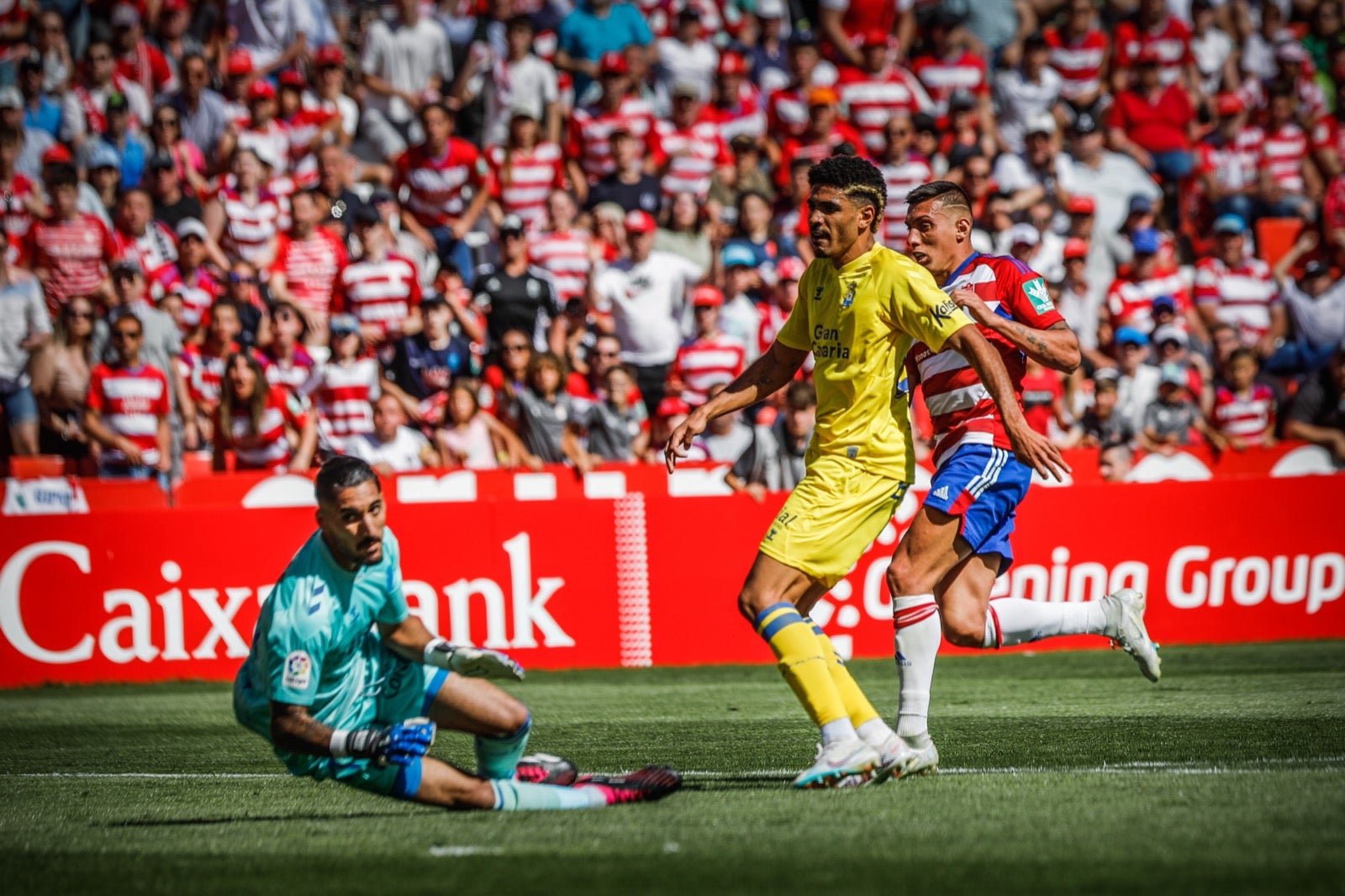 El triunfo del Granada ante Las Palmas, a ras de césped