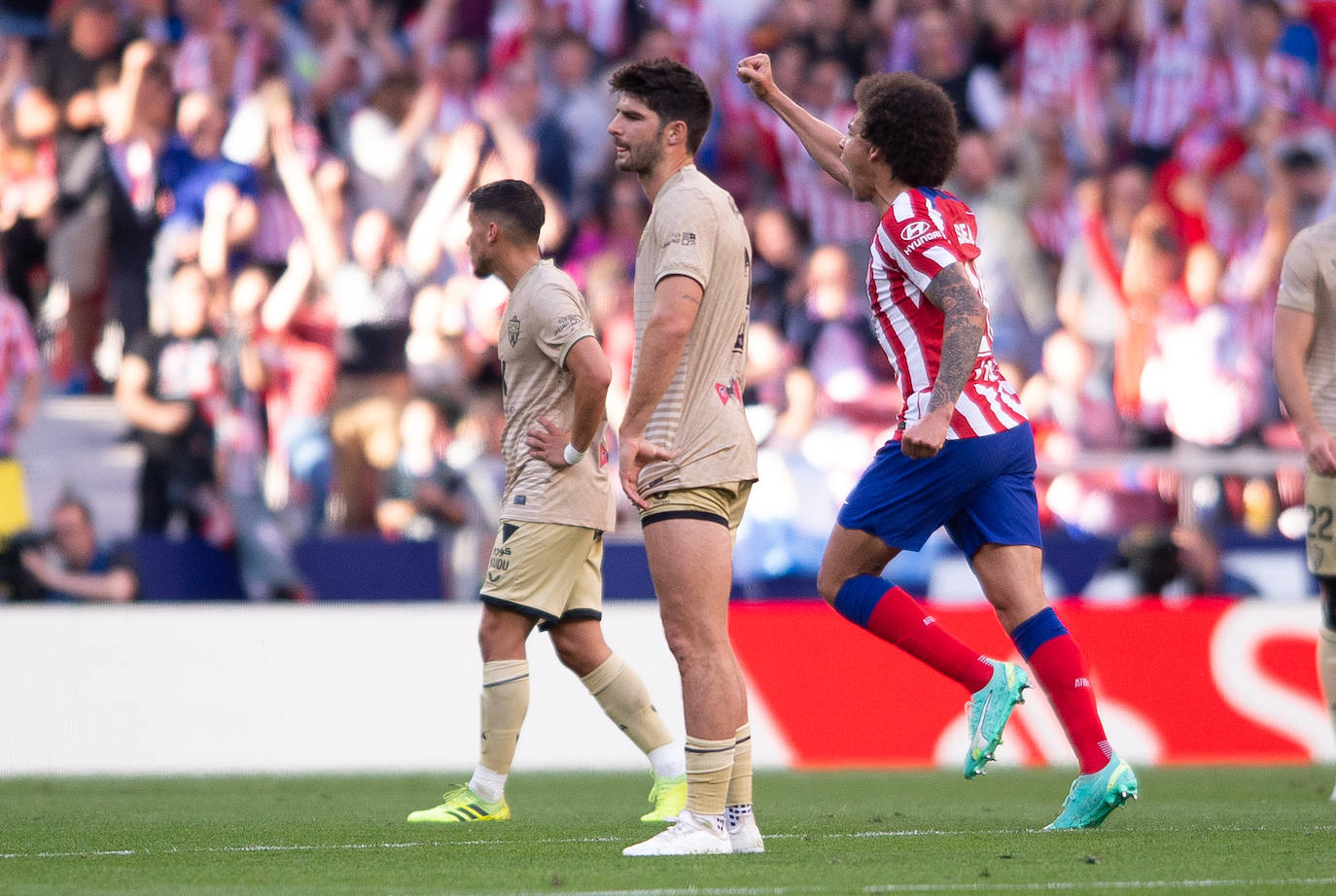 Las mejores imágenes del duelo entre Atlético y Almería