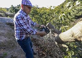 «He cortado los árboles que mi padre plantó hace 30 años»
