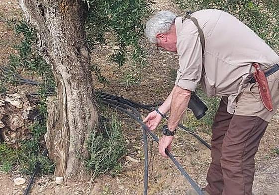 El regadío se complica en esta campaña por la escasez de agua ante la pertinaz sequía.