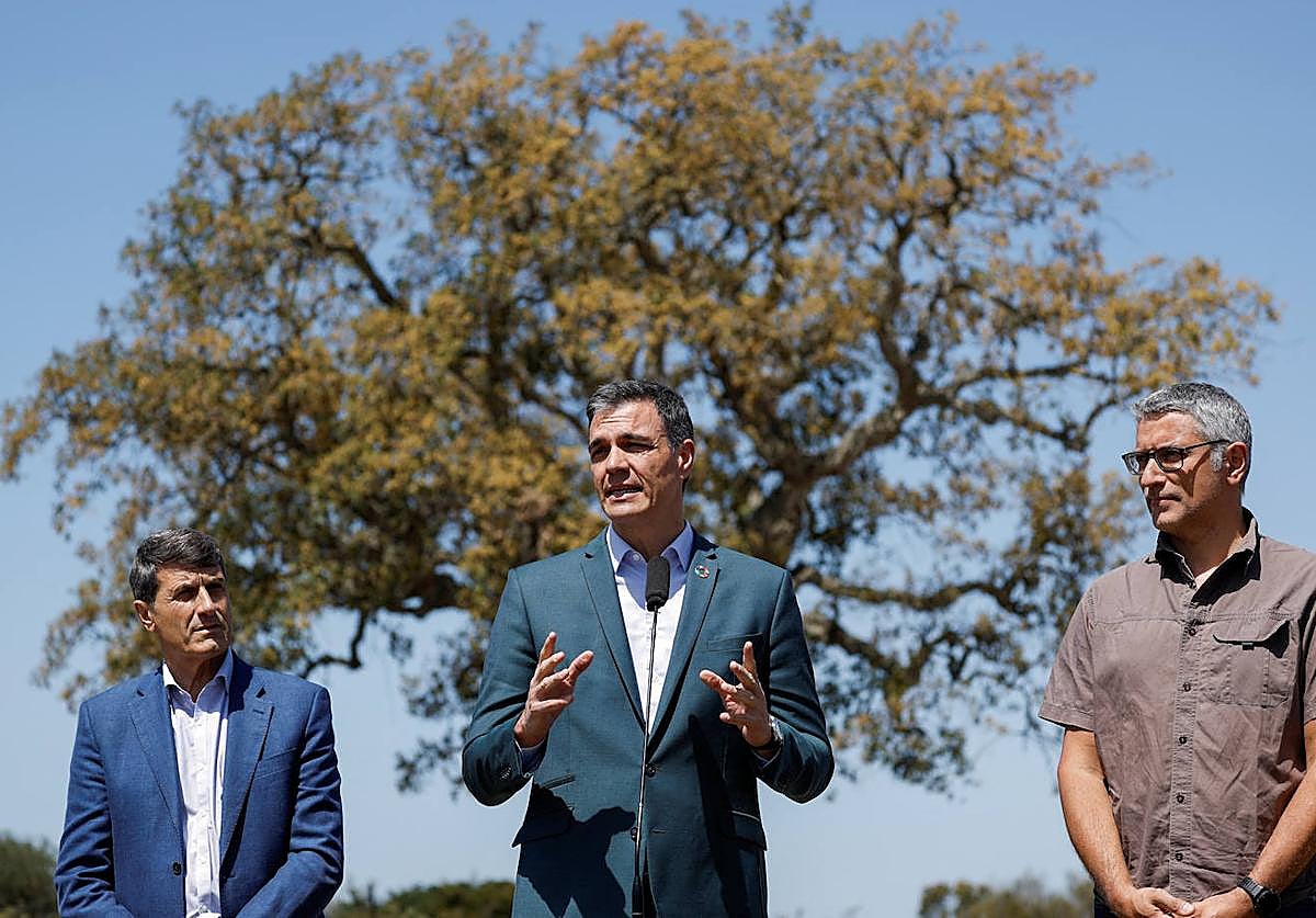 Sánchez asegura que la mayoría absoluta no legitima al PP para llevar a Doñana «a un punto de no retorno»