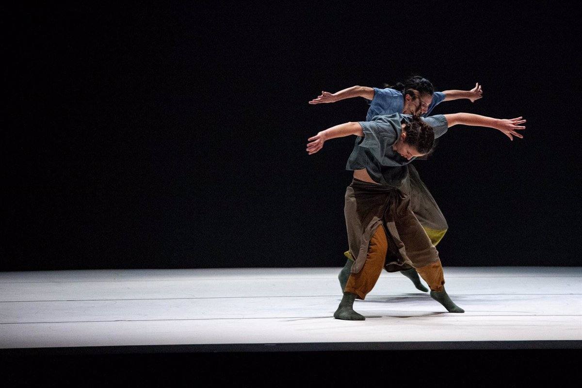 'El bosque', la última entrega de Marcat Dance.