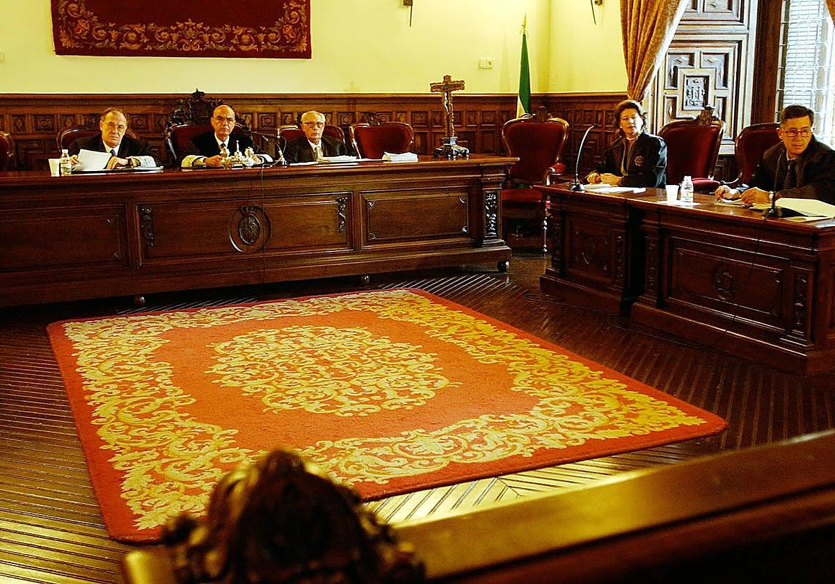 La vista de apelación celebrada en el TSJA en 2002 que anuló el juicio a Dolores Vázquez por el de asesinato de la joven de Mijas Rocío Wanninkhof.