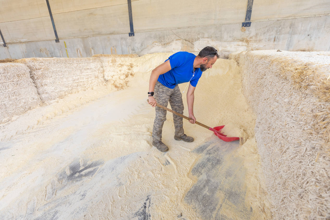 El almacén de cereales de la granja de Los Pastoreros, casi vacío.
