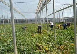 Almería registra la menor tasa de paro de Andalucía en el primer trimestre del año