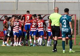 Los rojiblancos celebran con el banquillo el primer tanto, de Martín Solar.