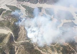 Zona en la que se ha producido el incendio, en Benamaurel.