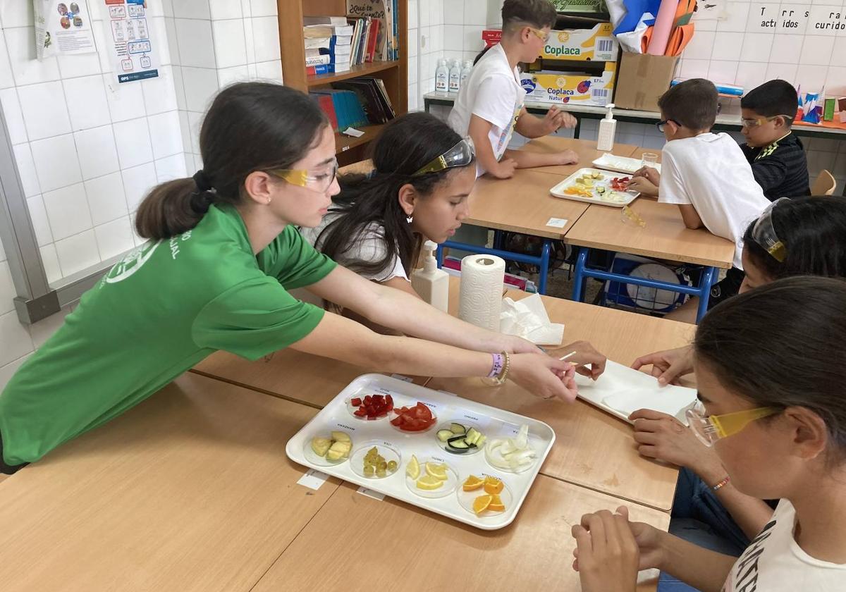 Alumnos del CEIP Ramón y Cajal de El Ejido, durante la realización del taller.