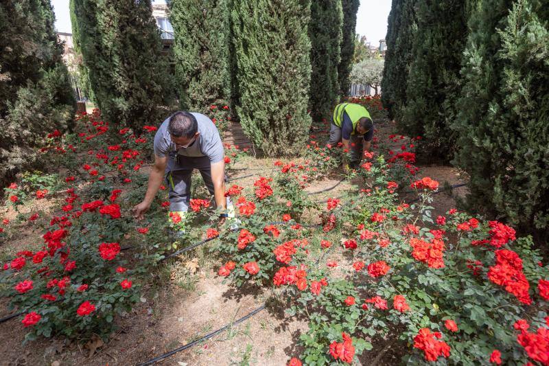 Operarios de Santa Fe comprueban el riego por goteo de los jardines, para ahorrar.