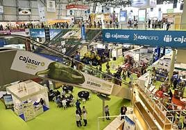 Coexphal lanza la campaña 'La Primera Sandía Europea es de España, es nuestra'