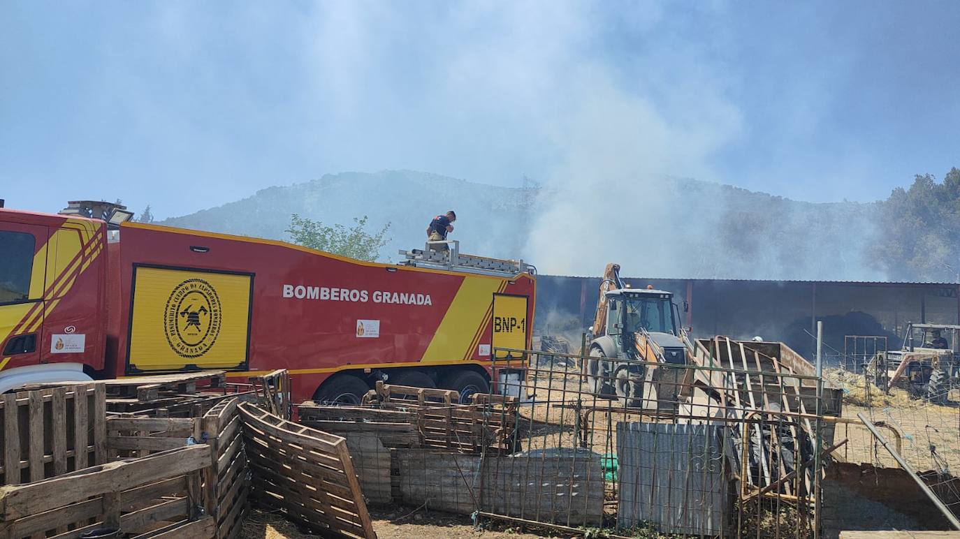 Imagen principal - Aparatoso incendio en una nave con 300 ovejas en Alomartes