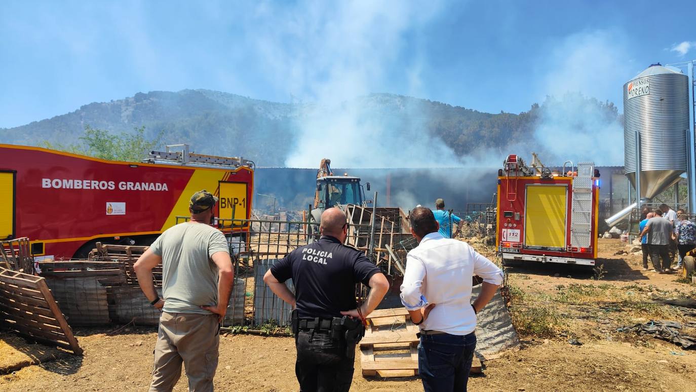 Imagen secundaria 1 - Aparatoso incendio en una nave con 300 ovejas en Alomartes