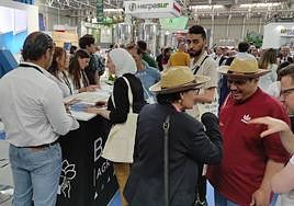 Movimiento en Expoliva este viernes con visitantes nacionales y foráneos.