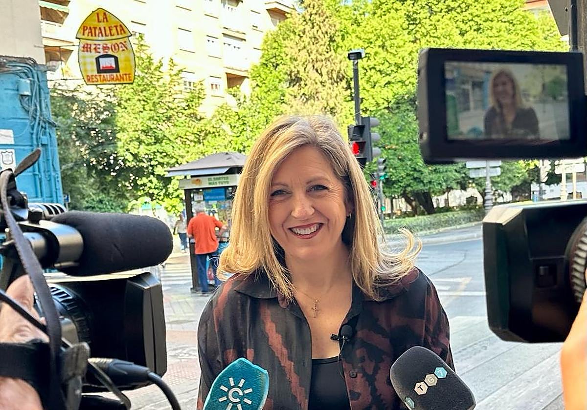 Vox se opone a la Zona de Bajas Emisiones en Granada «porque criminaliza a los conductores»