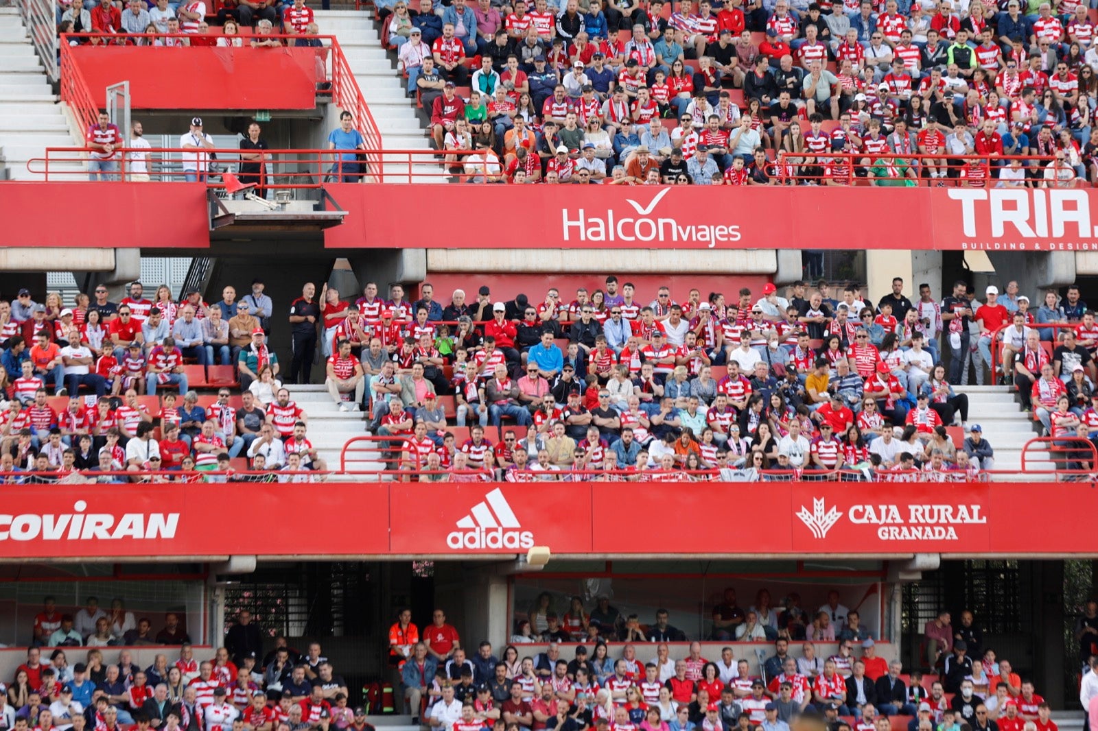 Encuéntrate en la grada en el Granada-Lugo