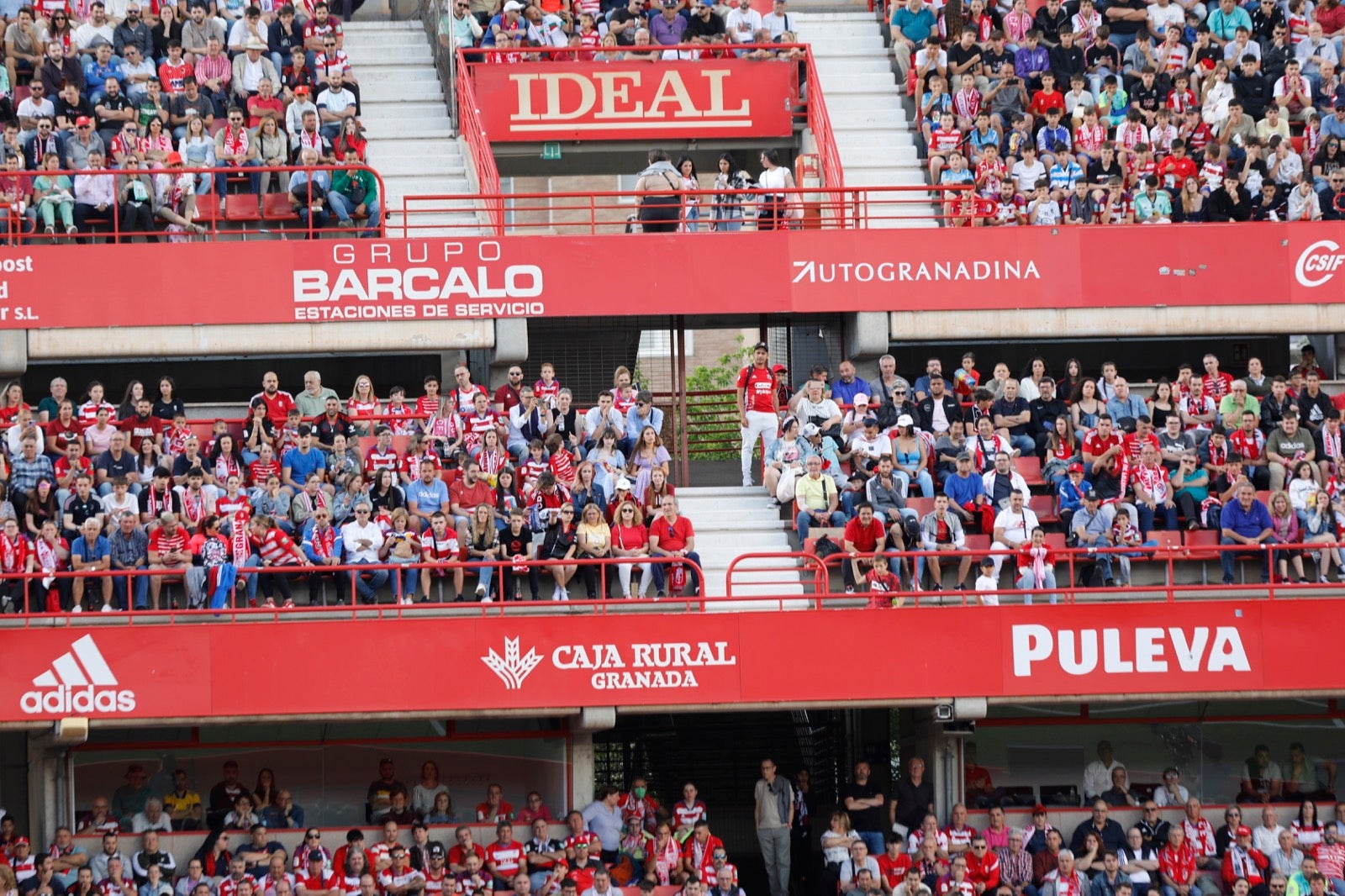 Encuéntrate en la grada en el Granada-Lugo