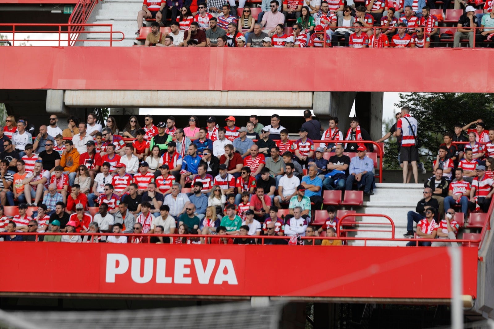 Encuéntrate en la grada en el Granada-Lugo