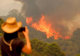 Incendio de Sierra Bermeja, en Málaga, en 2021.